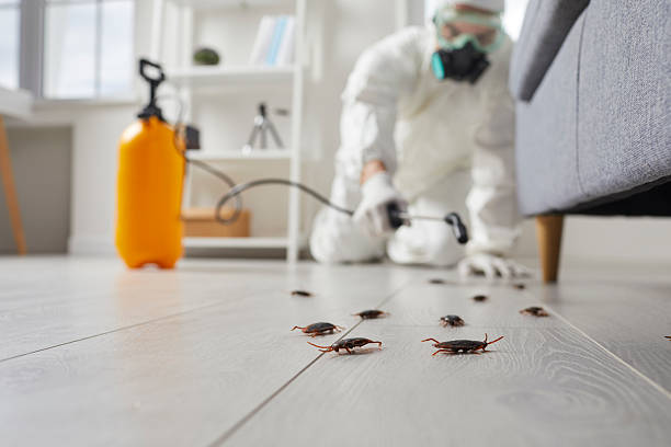 Commercial Kitchen Cockroach Control in Wadley